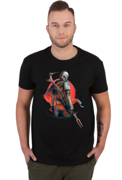 Star Wars The Mandalorian