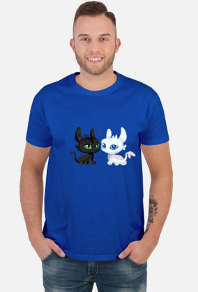 Toothless night fury light fury how to train your dragon smok dreamworks animation cartoon fantasy