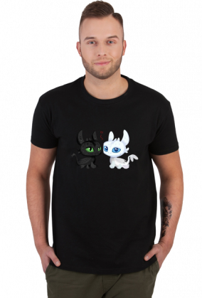 Toothless night fury light fury how to train your dragon smok dreamworks animation cartoon fantasy