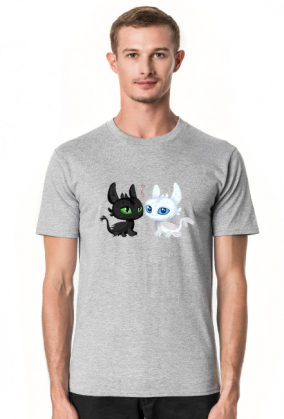 Toothless night fury light fury how to train your dragon smok dreamworks animation cartoon fantasy