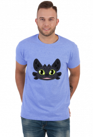 Toothless night fury how to train your dragon smok dreamworks animation cartoon fantasy
