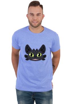 Toothless night fury how to train your dragon smok dreamworks animation cartoon fantasy