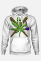Bluza
