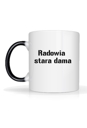 Duma gminy i powiatu