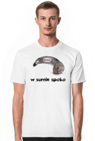 w sumie spoko, koszulka