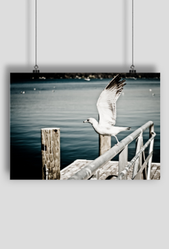 Plakat Mewa