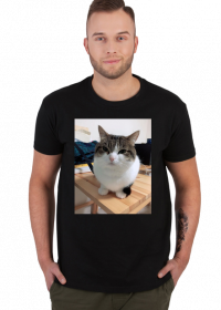 Koszula Wawa Cat