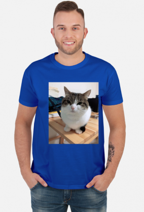 Koszula Wawa Cat