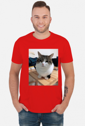 Koszula Wawa Cat