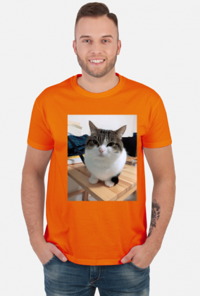Koszula Wawa Cat