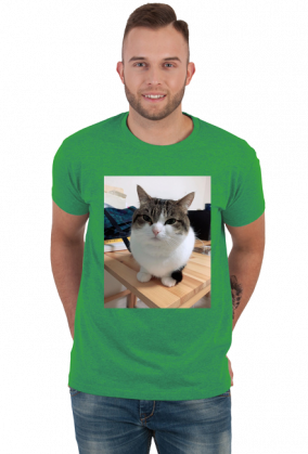 Koszula Wawa Cat