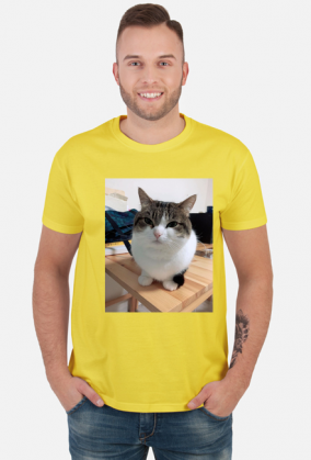 Koszula Wawa Cat