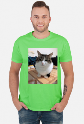 Koszula Wawa Cat
