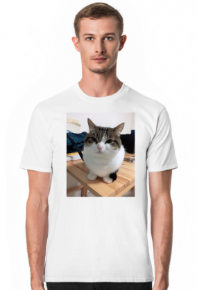 Koszula Wawa Cat