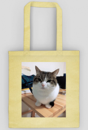 Torba Wawa Cat