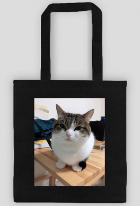Torba Wawa Cat
