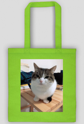 Torba Wawa Cat