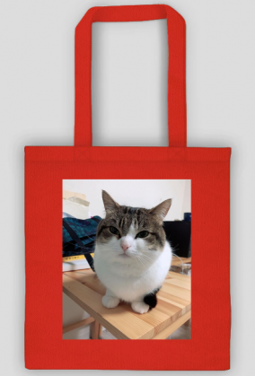 Torba Wawa Cat