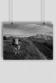 Plakat tatry wzór 1, Rozmiar: A2