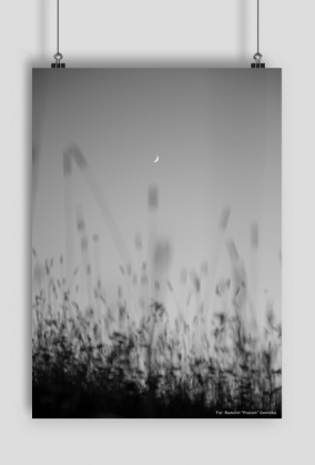 Plakat księżyc wzór 1, rozmiar A2