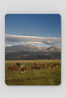 Podkładka pod myszkę Tatry