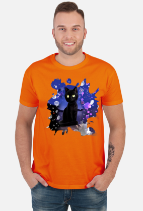 Czarny kot na dachu / Night Cat