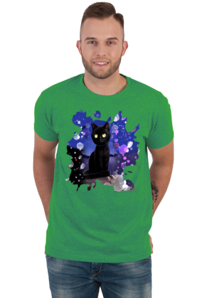 Czarny kot na dachu / Night Cat