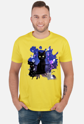 Czarny kot na dachu / Night Cat