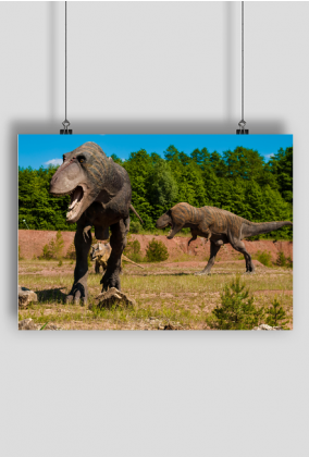 Plakat poziomy A2 Kraina Dinozaurow 1