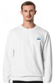 Bluza z flagą Gay