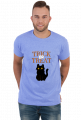 Trick or Treat z kotem