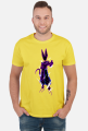 Dragon Ball - Beerus