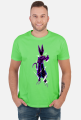 Dragon Ball - Beerus