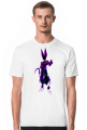 Dragon Ball - Beerus