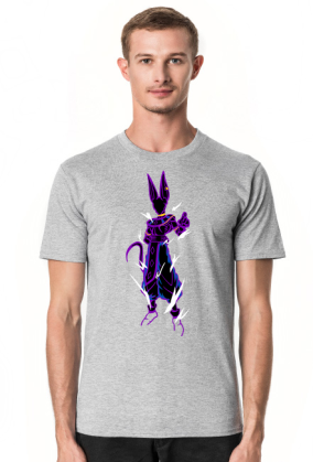 Dragon Ball - Beerus