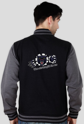 Bluza Męska Varsity Jacket