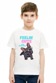 Buldog Francuski - super piesek