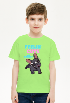 Buldog Francuski - super piesek