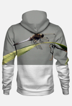 Bluza Orthetrum cancellatum [Linnaeus, 1758]