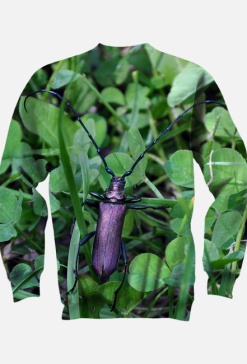 Bluza Aromia moschata