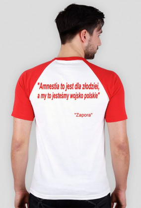 Amnestia to jest dla złodziei....
