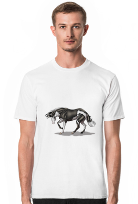 American Quarter Horse