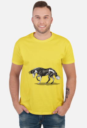 American Quarter Horse