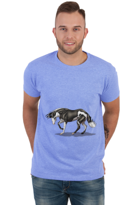 American Quarter Horse