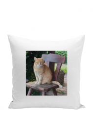 Poszewka RUDZIELEC KOT