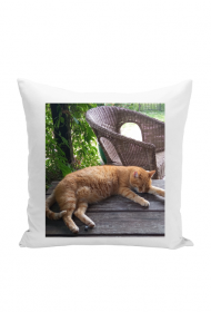 Poszewka ŚPIĄCY RUDY KOT