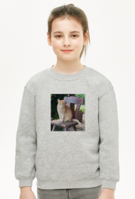 Bluza z kotkiem