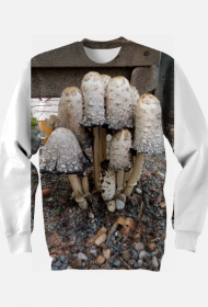 Bluza z grzybami