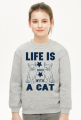 Bluza dziecięca klasyczna