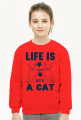 Bluza dziecięca klasyczna